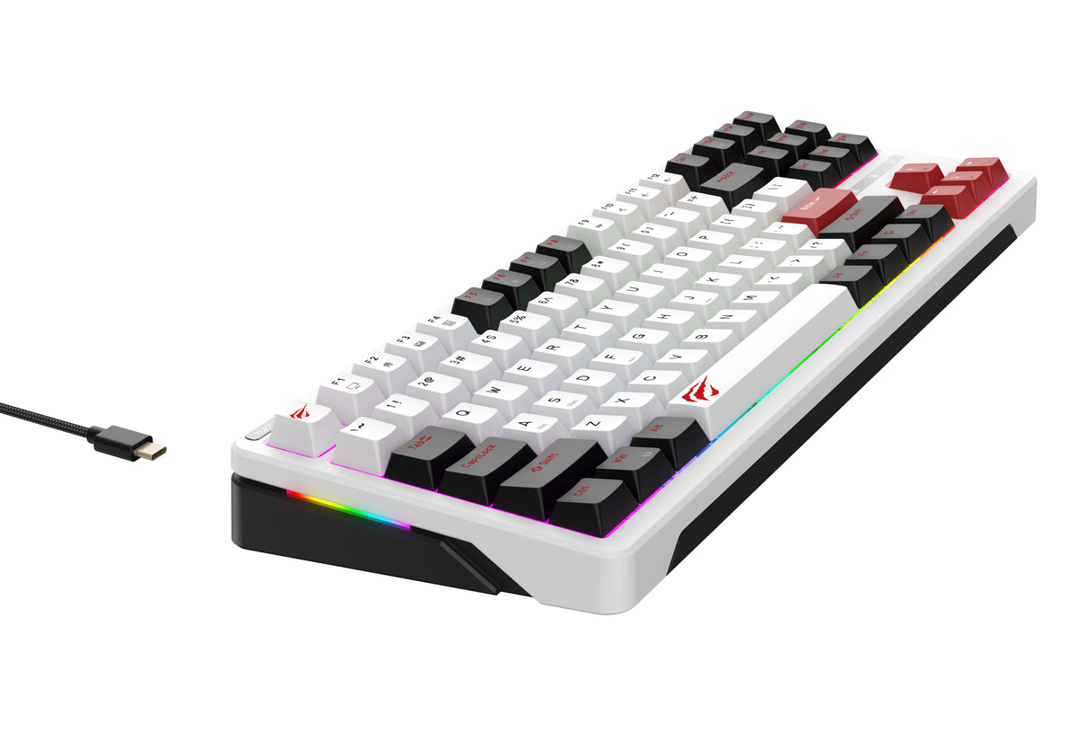 Havit KB902L Mechanical RGB Gaming Keyboard, White