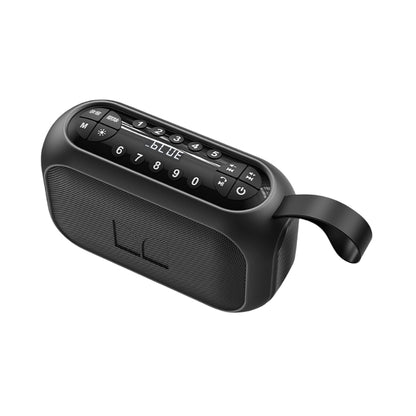 Monster S160 Portable Wireless Speaker with FM Radio, Black