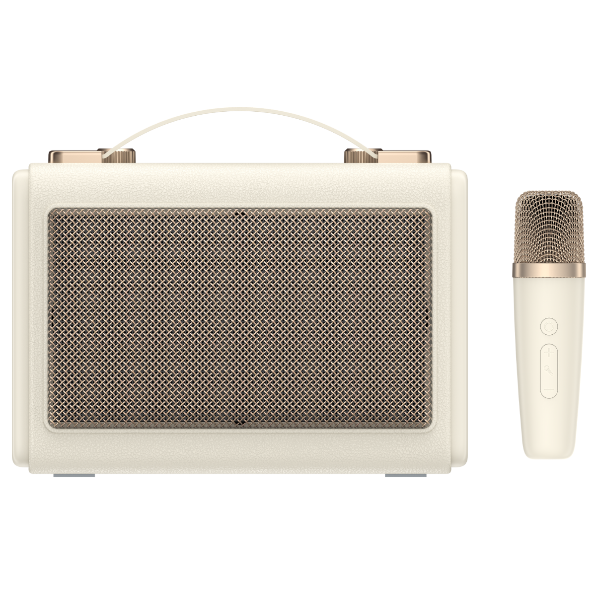 Havit SK823BT Karaoke Speaker