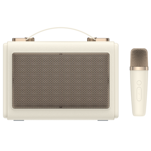 Havit SK823BT Karaoke Speaker