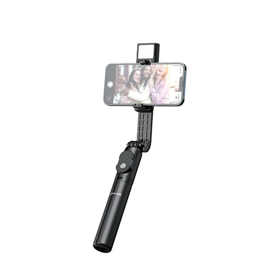 Lenyes PH101 selfie stick tripod with ring light