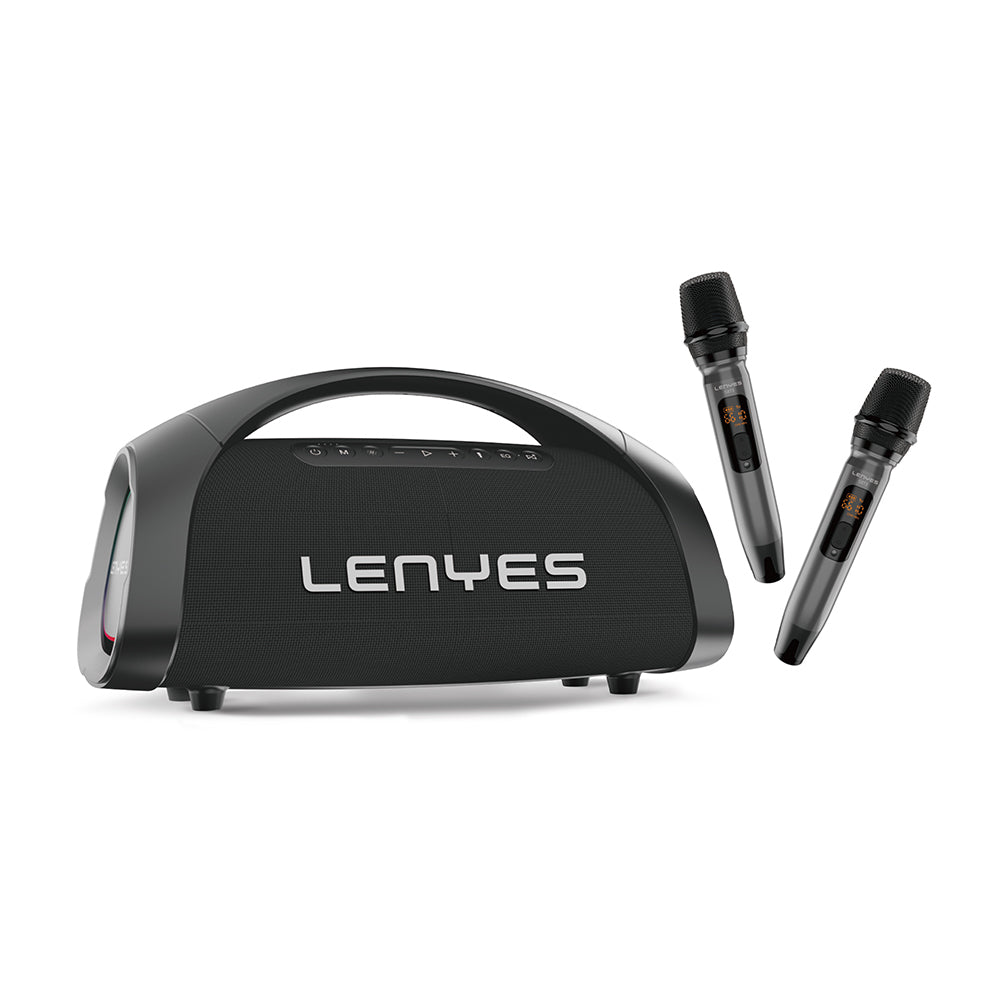 Lenyes S873 400W speaker alternate view