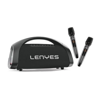 Lenyes S873 400W speaker alternate view