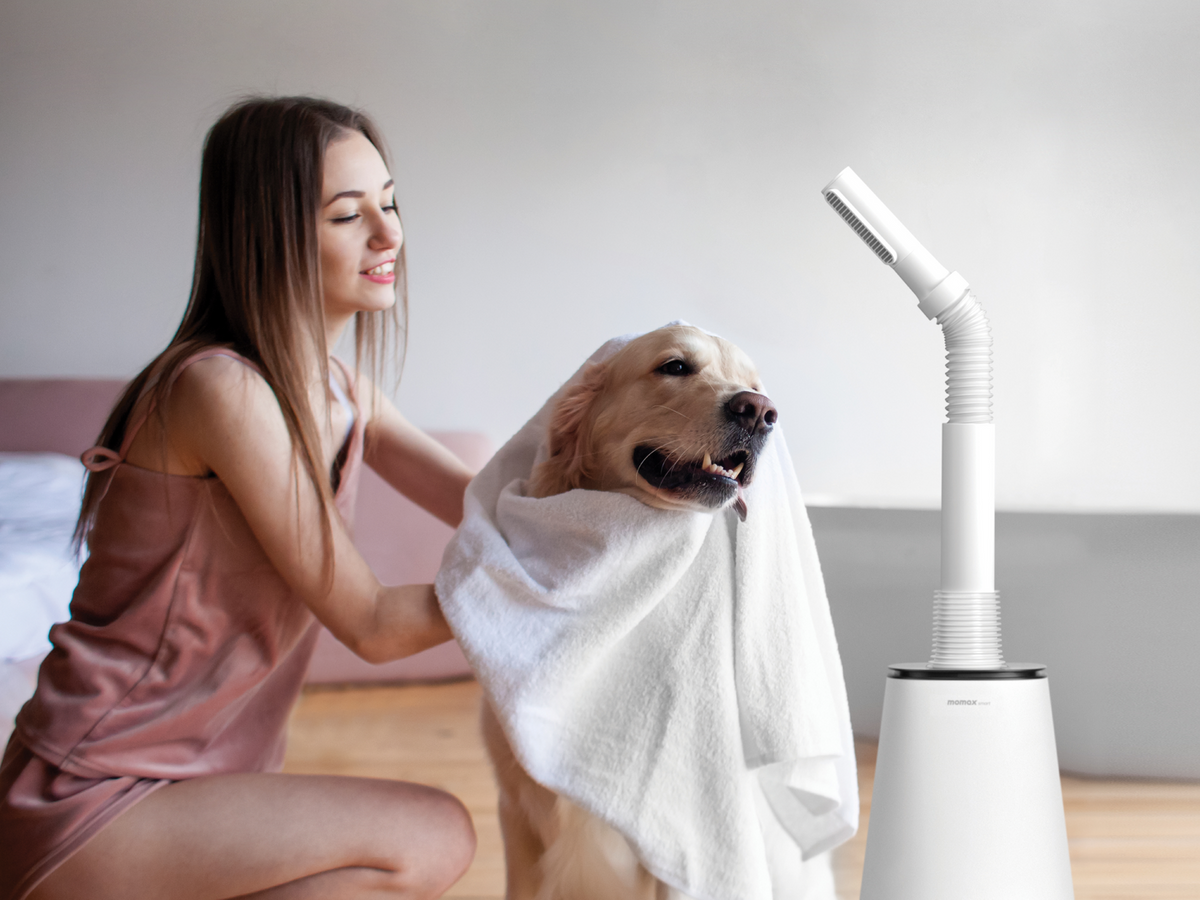مروحة تنقية Momax Air Pure DuoIoT UV AP16S - صورة 5